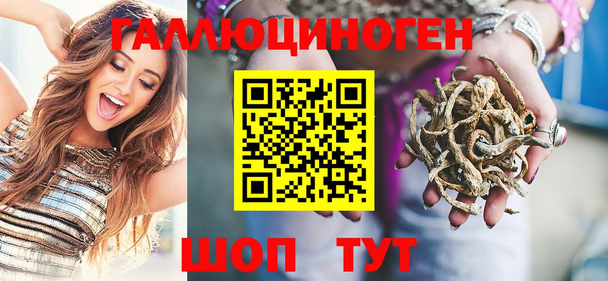 Псилоцибиновые грибы Cubensis  Вход с VPN  Сокол  Галлюциногенные грибы прущие грибы 