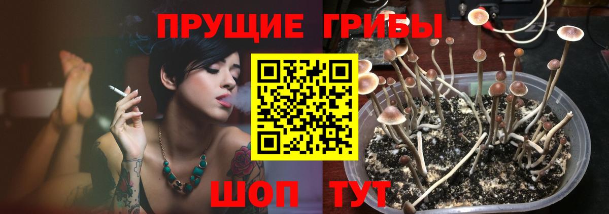 Галлюциногенные грибы мицелий Сокол